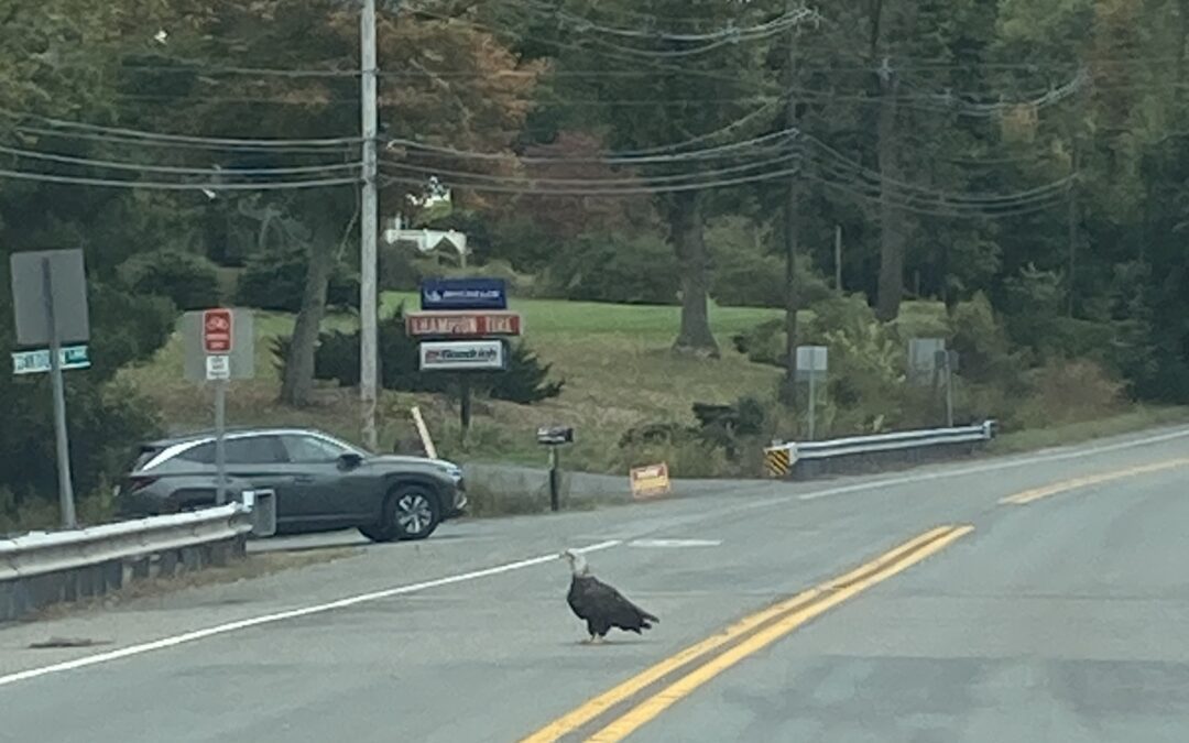 You Got My Attention