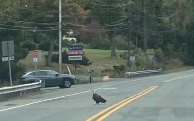 You Got My Attention